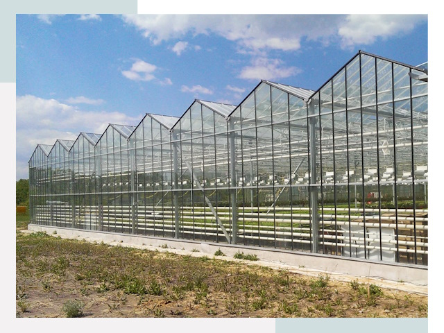 Строительство теплиц в Люберцы от 631 руб. за м²