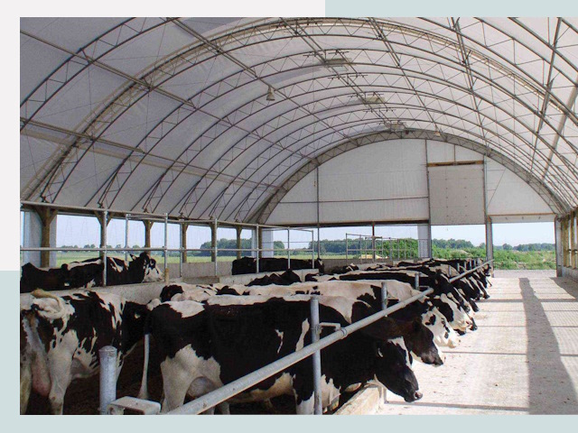 Тентовые коровники в Люберцах